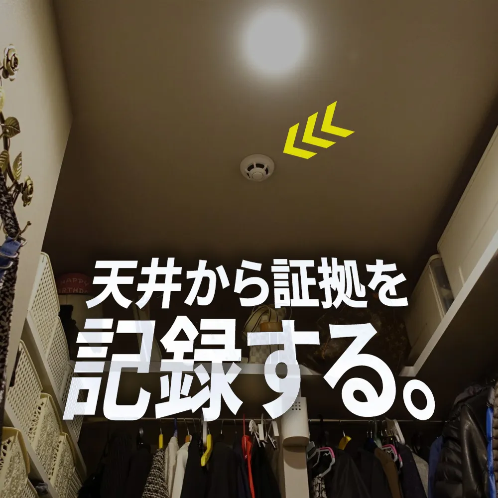 ピックアップ商品